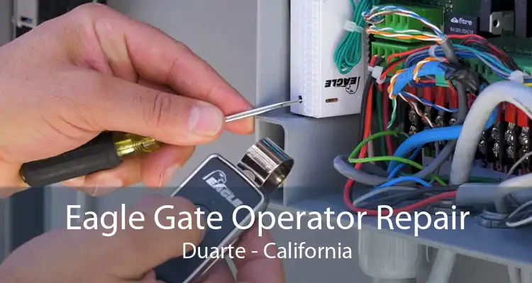 Eagle Gate Operator Repair Duarte - California