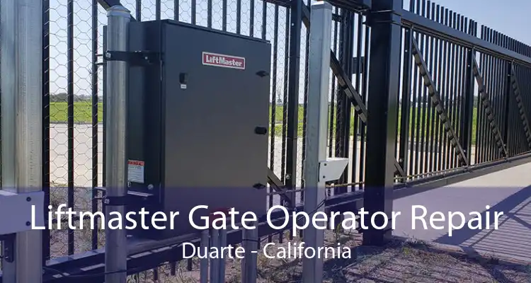 Liftmaster Gate Operator Repair Duarte - California