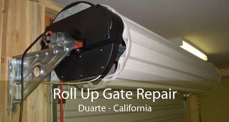 Roll Up Gate Repair Duarte - California