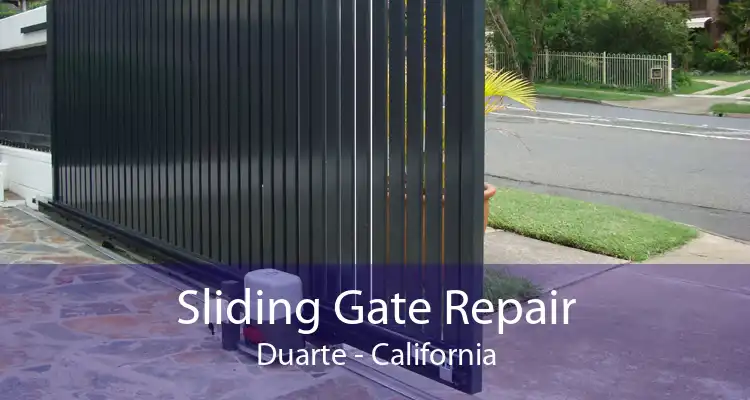 Sliding Gate Repair Duarte - California